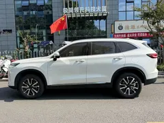 2022 Haval H6 3rd Gen 1.5T AT 2WD Pro, белый — фото 3
