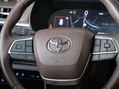 2021 Toyota Sienna 2.5L Hybrid Platinum, синий — фото 14