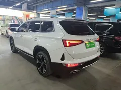 2020 Jetour X90 1.6T DCT 5-Seat, белый — фото 5