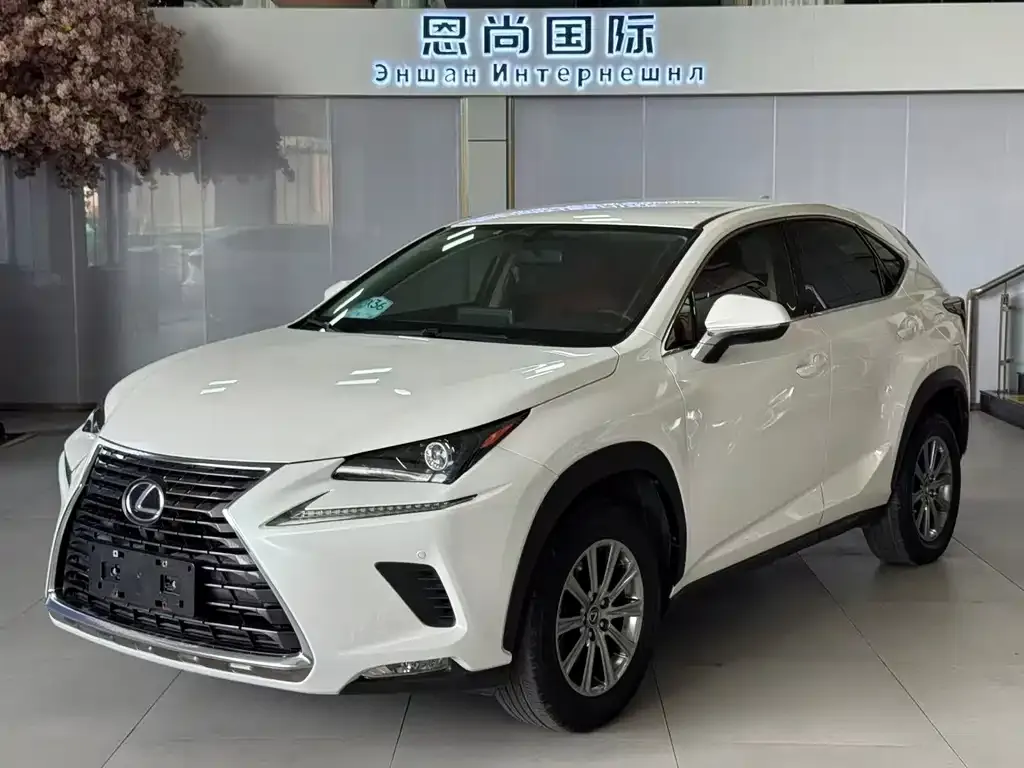 2020 Lexus NX 200 2WD Fengxing China VI