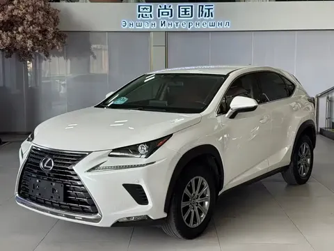 2020 Lexus NX 200 2WD Fengxing China VI