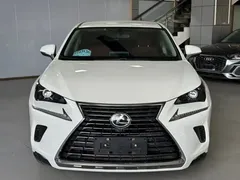 2020 Lexus NX 200 2WD Fengxing China VI, белый — фото 2