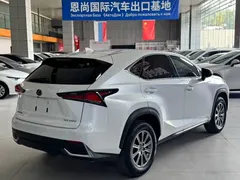 2020 Lexus NX 200 2WD Fengxing China VI, белый — фото 5