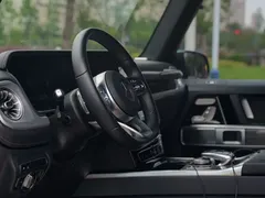 2021 Mercedes-Benz G-Class G 500 Special Edition — фото 10
