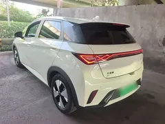 2023 BYD Dolphin 420km Freedom, белый — фото 5