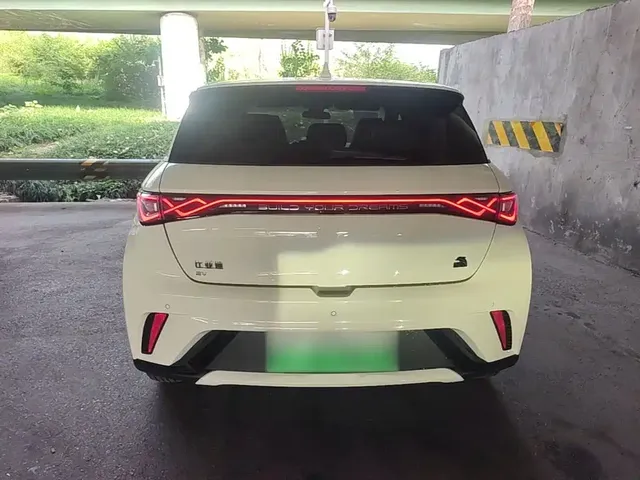 2023 BYD Dolphin 420km Freedom