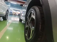 2021 Geely Monjaro 2.0TD DCT EVO 2WD Premium — фото 22