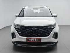 2021 Hyundai Custo 380TGDi Flagship TOP Premium, белый — фото 3