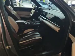 2021 Geely Monjaro 2.0TD DCT EVO 2WD Flagship — фото 8