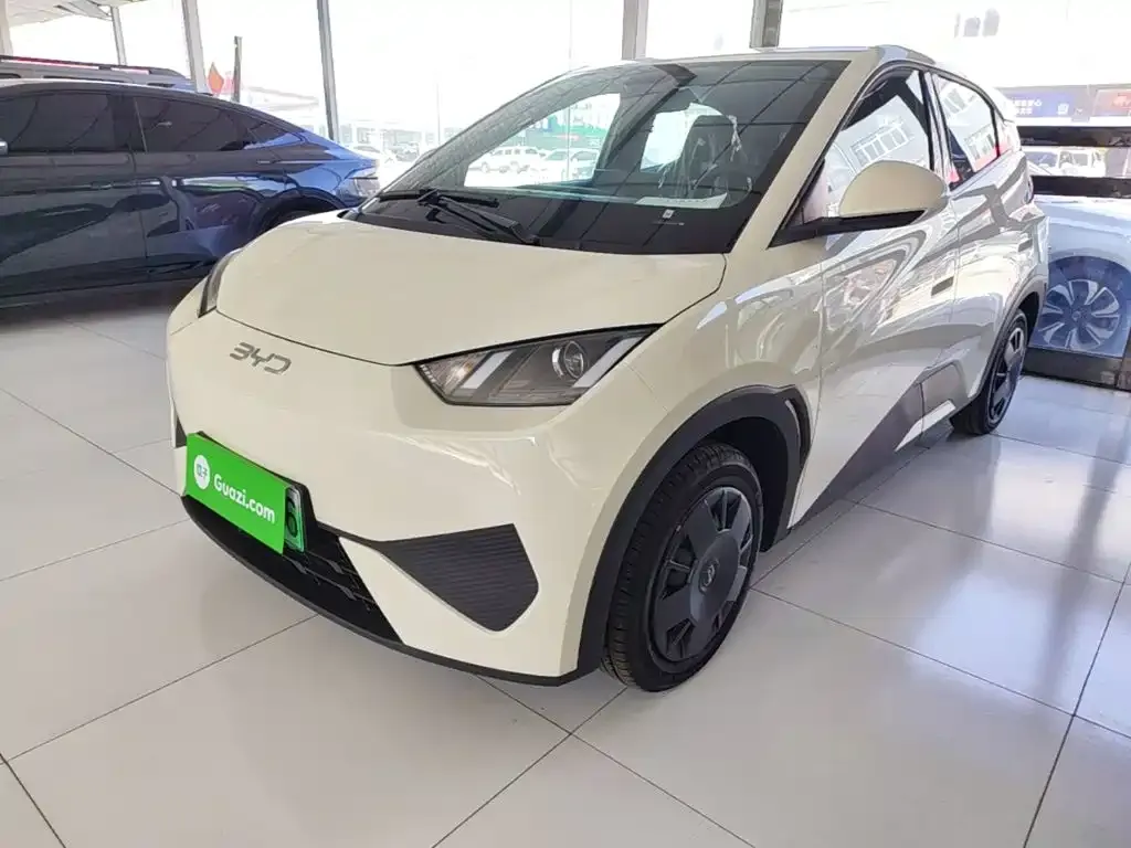 2025 BYD Seagull EV 305km