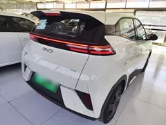 2025 BYD Seagull EV 305km, белый — фото 7