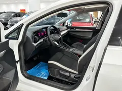 2021 Volkswagen Golf 280TSI DSG 30th Anniversary, белый — фото 30