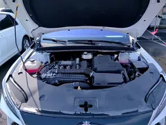 2025 BYD Qin PLUS DM-i PHEV Smart Driving 55km Leading, белый — фото 20