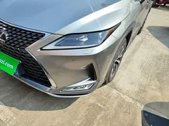 2020 Lexus RX 300 2WD Elite — фото 24