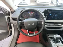 2024 Hongqi E-QM5 EV 610km Plus — фото 11