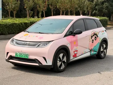 2023 BYD Dolphin 420km Freedom