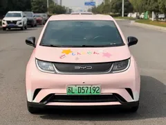 2023 BYD Dolphin 420km Freedom, белый — фото 2