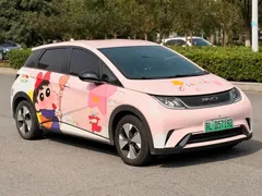2023 BYD Dolphin 420km Freedom, белый — фото 3