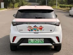2023 BYD Dolphin 420km Freedom, белый — фото 14