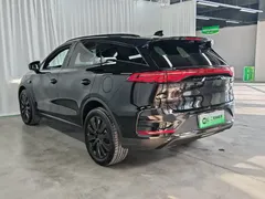 2025 BYD Tang ADAS DM-i PHEV 175KM Premium, чёрный — фото 4