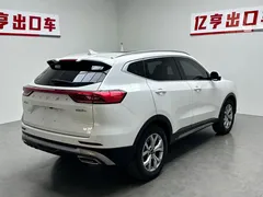 2021 Haval H6 1.5T AT Champion, белый — фото 21