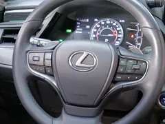 2021 Lexus ES 300h Excellence, синий — фото 17