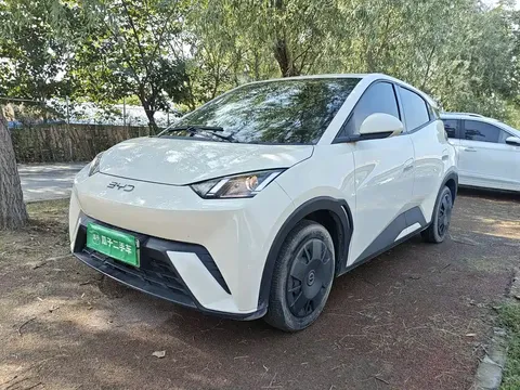 2024 BYD Seagull Honor 305km Vitality