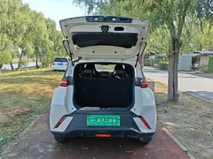 2024 BYD Seagull Honor 305km Vitality, белый — фото 19