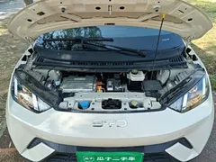 2024 BYD Seagull Honor 305km Vitality, белый — фото 20