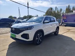 2021 Hyundai ix35 2.0L AT 2WD GLS Leading, белый — фото 24