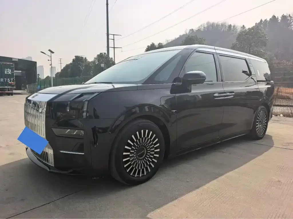 2022 Zeekr 009 WE