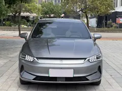 2023 BYD Qin PLUS Champion EV 420km — фото 2