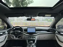 2023 BYD Qin PLUS Champion EV 420km — фото 5