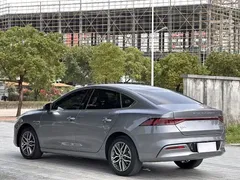 2023 BYD Qin PLUS Champion EV 420km — фото 7