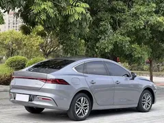 2023 BYD Qin PLUS Champion EV 420km — фото 9