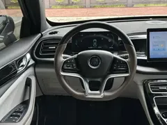 2023 BYD Qin PLUS Champion EV 420km — фото 10