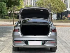 2023 BYD Qin PLUS Champion EV 420km — фото 15
