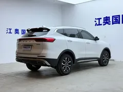2021 Haval H6 1.5T AT Guochao Urban, белый — фото 19