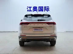 2021 Haval H6 1.5T AT Guochao Urban, белый — фото 20