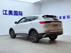 2021 Haval H6 1.5T AT Guochao Urban, белый — фото 22