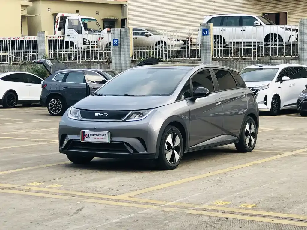 2023 BYD Dolphin 420km Fashion