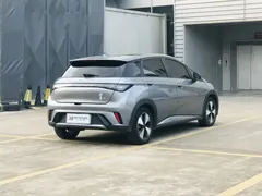 2023 BYD Dolphin 420km Fashion — фото 15