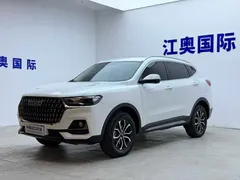 2023 Haval H6 1.5T AT Guochao Urban, белый — фото 1