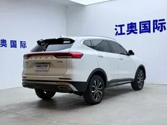 2023 Haval H6 1.5T AT Guochao Urban, белый — фото 19