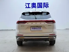 2023 Haval H6 1.5T AT Guochao Urban, белый — фото 20