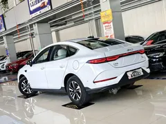 2025 BYD Qin PLUS DM-i PHEV 120KM, белый — фото 3