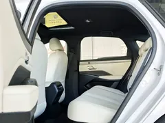 2025 BYD Qin PLUS DM-i PHEV 120KM, белый — фото 7