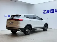 2023 Haval H6 1.5T AT Guochao Urban, белый — фото 19
