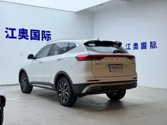 2023 Haval H6 1.5T AT Guochao Urban, белый — фото 22