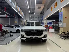 2023 Haval H6 1.5T AT Guochao Champion, белый — фото 2